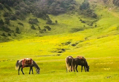 Dhorpatan Hunting Reserve: The only Hunting Reserve in Nepal