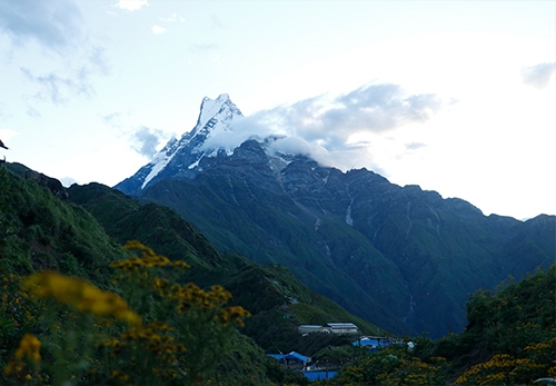 My Monsooon Trekking Experience: Mardi Himal in the Rain