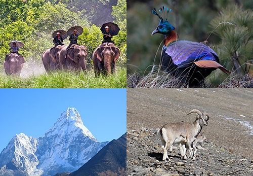 National Parks in Nepal