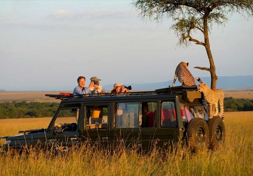 Tanzania Safari Seasons Explained | Best Months to Visit