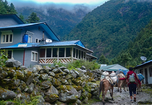 Tea Houses in Everest Base Camp Trek