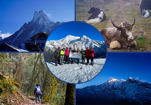 Mardi Himal Trek: A Journey Through Nepal's Himalayan Paradise with Five Amazing Women