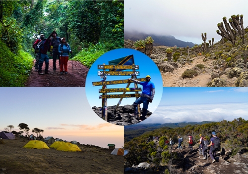 Climbing Kilimanjaro