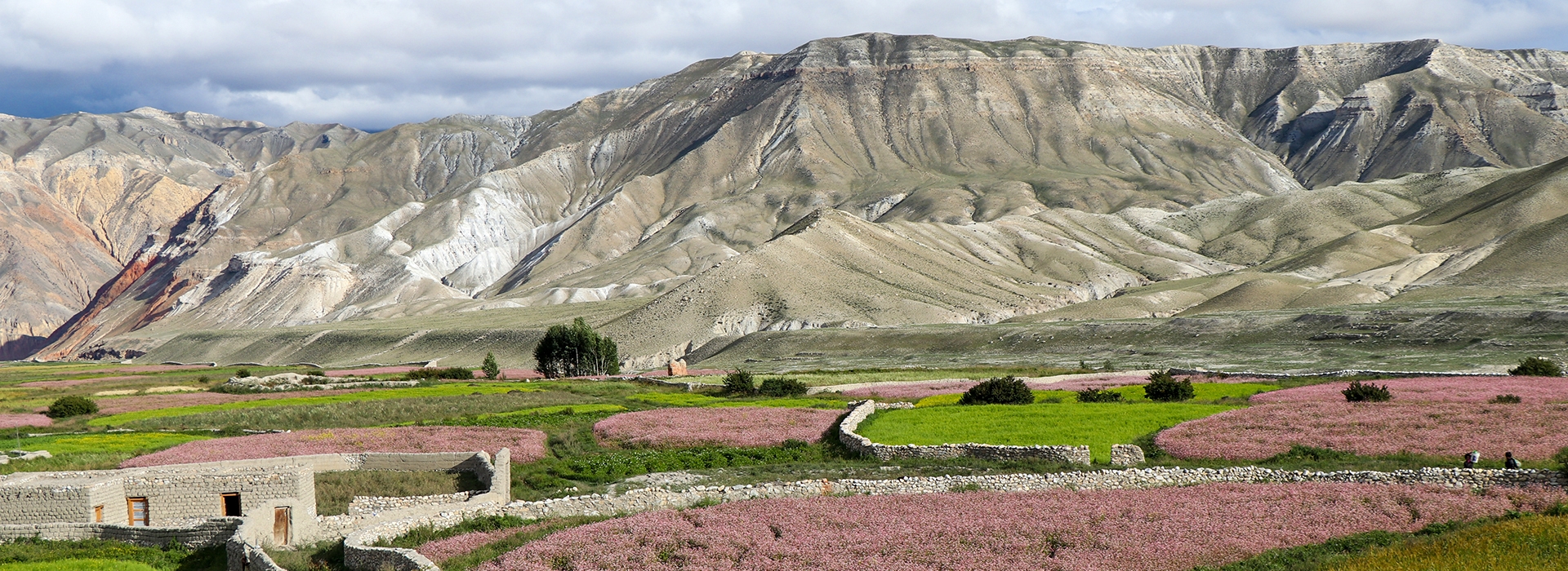 Upper Mustang Trek