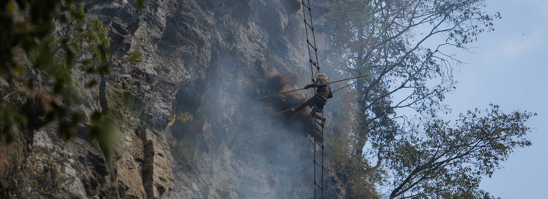 Mad Honey Hunting in Nepal