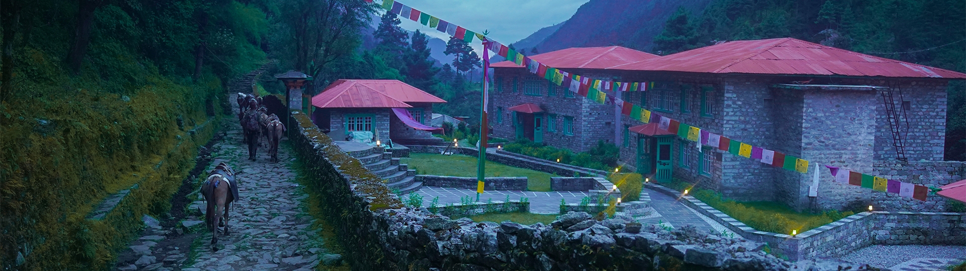 Tea Houses in Everest Base Camp Trek