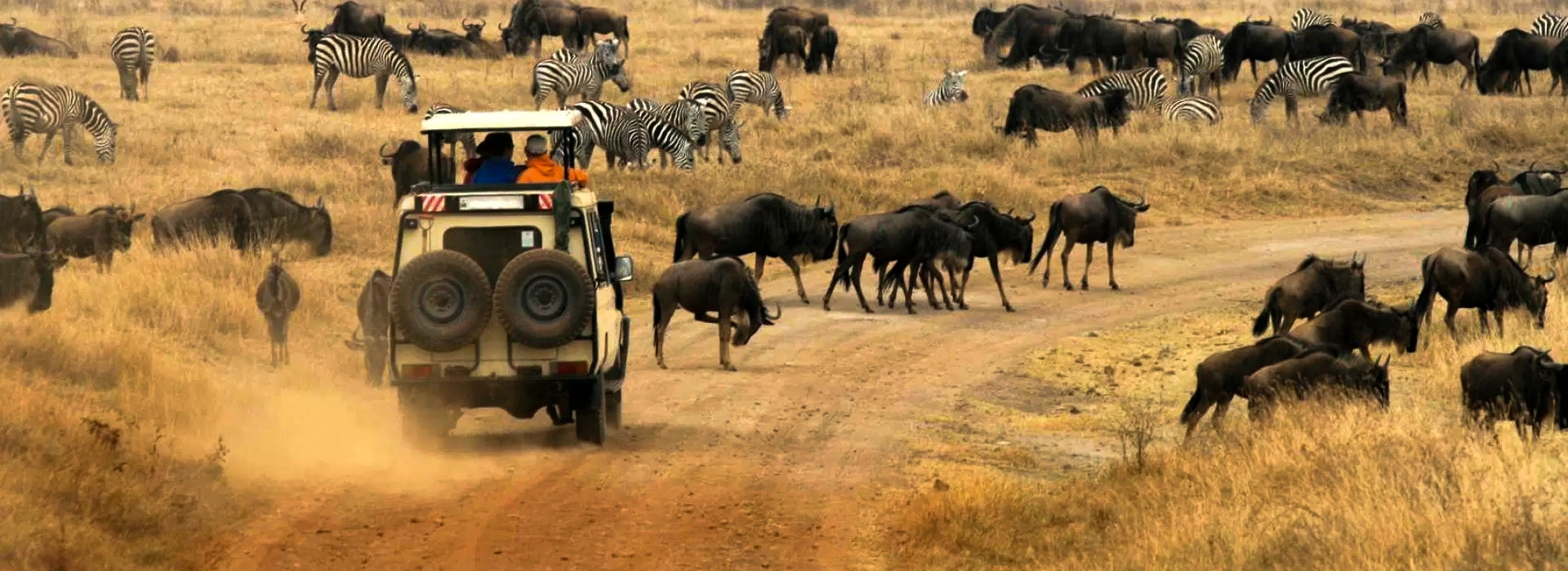 Short Wildlife Safari in Tanzania