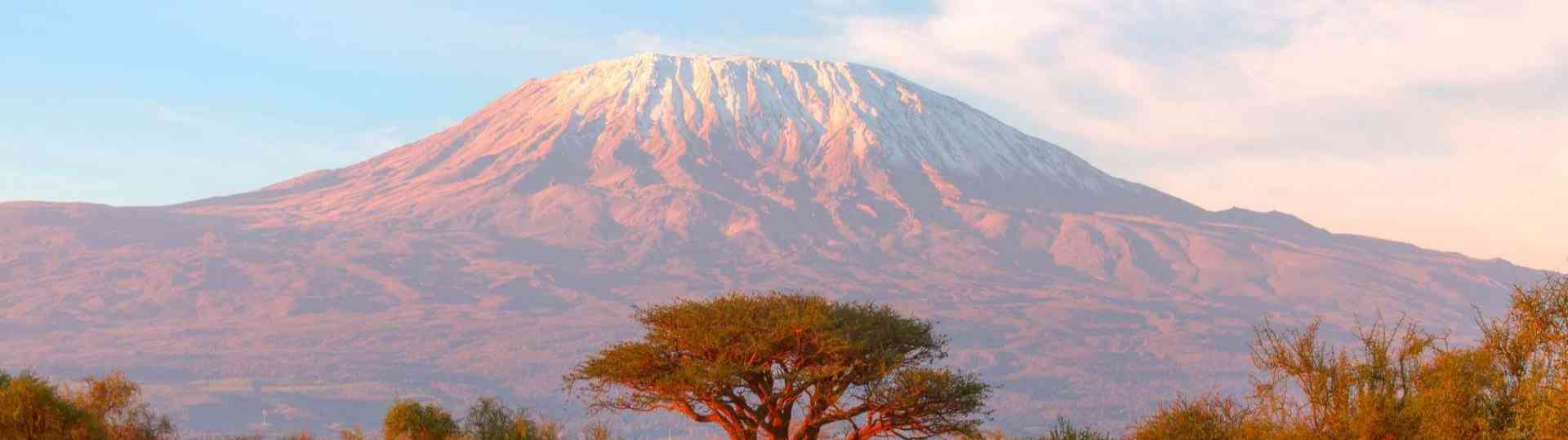 Gateways to the Roof of Africa: Like Marangu and Machame Gates