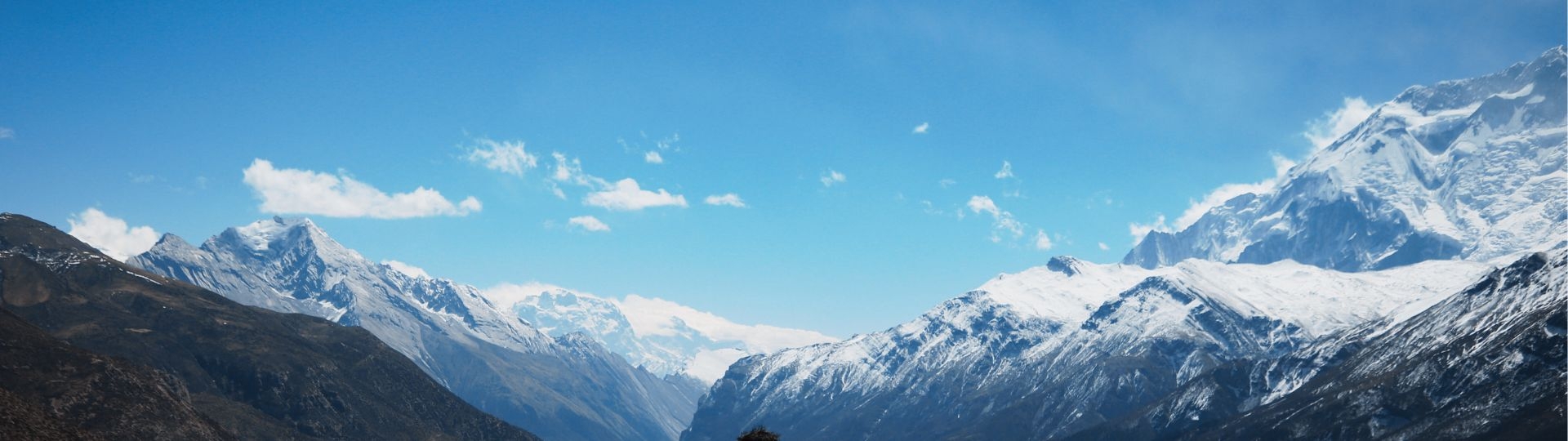 Manaslu Circuit vs Annapurna Circuit Trek: Which Is Better in 2026?