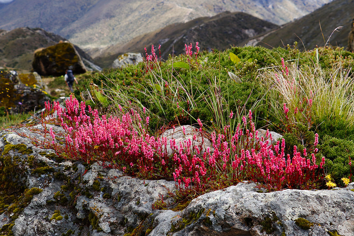 Makalu Barun National Park