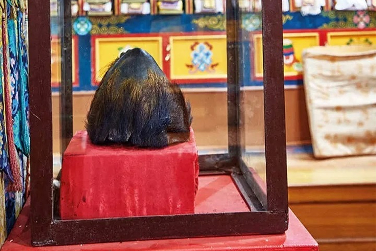 Yeti Scalp in KHumjung monastery