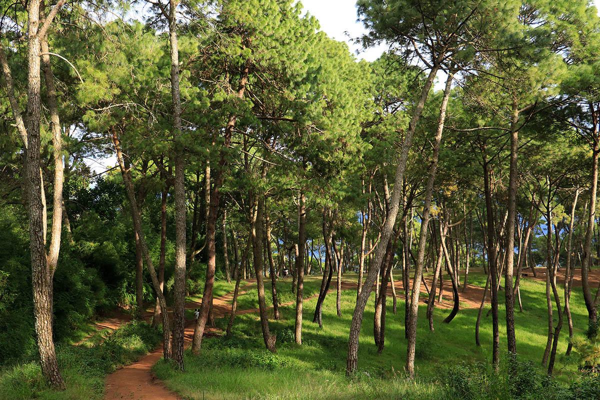 Champadevi Hike