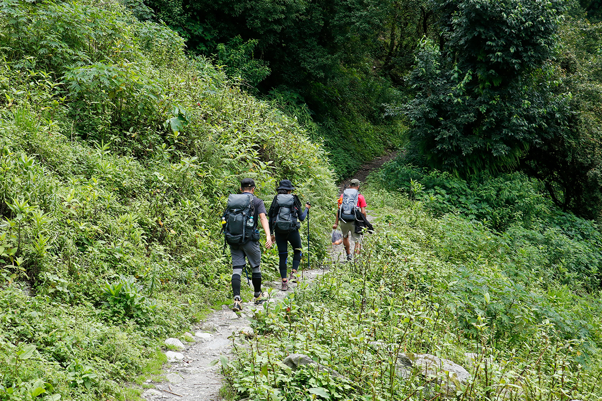 on the trail to Mardi Himal Trek