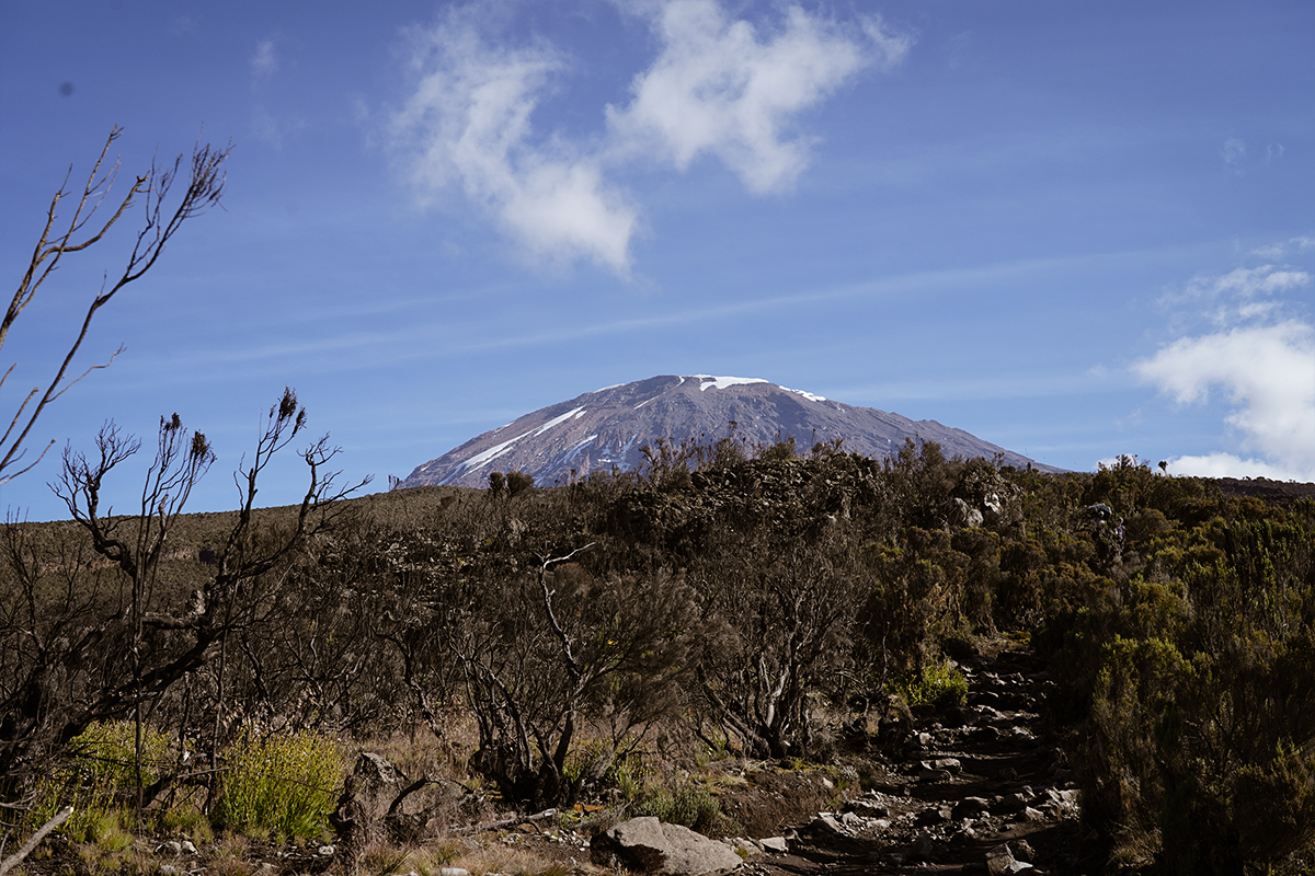 Mount Kilimanjaro