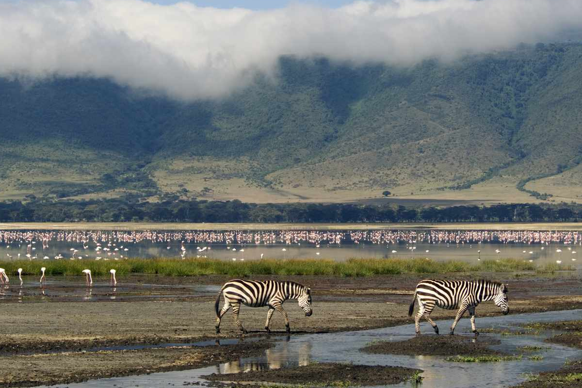 Ngorongoro Crater