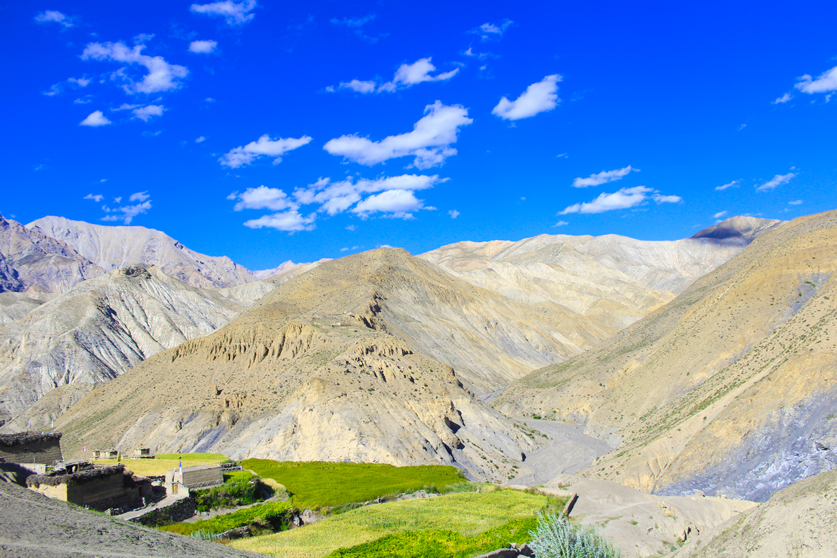 vibrant landscape of upper dolpo during monsoon