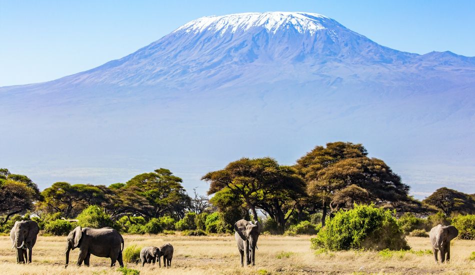 essential kilimanjaro packing list