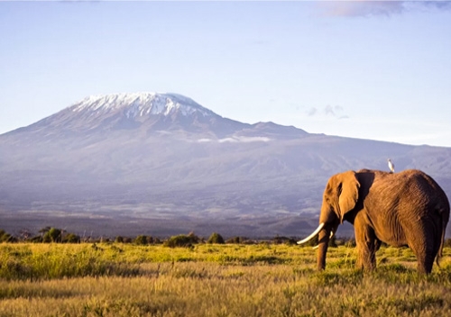 2 day tanzania safari tour