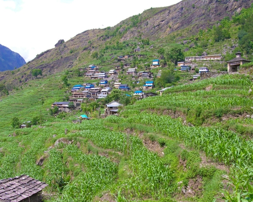 Borangvillage