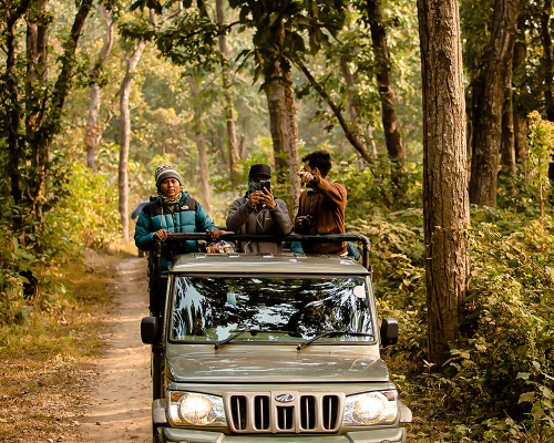 Jeep Safari Chitwan