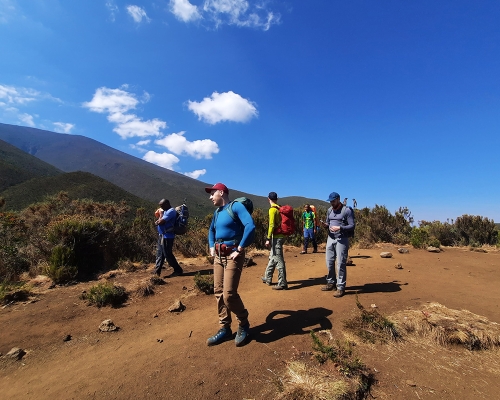 Climbing Trail In Kilimanjaro