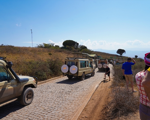 Game Drive Safari At Ngorongoro