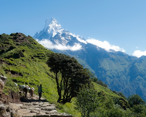 Mardi Himal Gallery