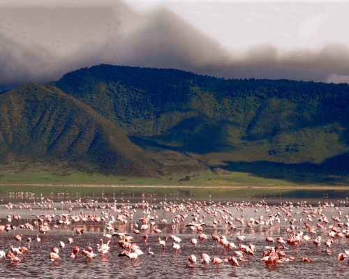 Ngoro Goro Crater