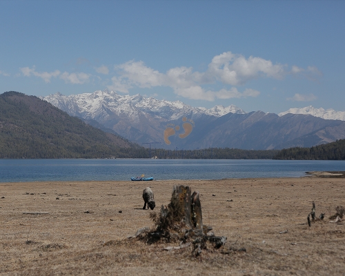 Rara Lakee