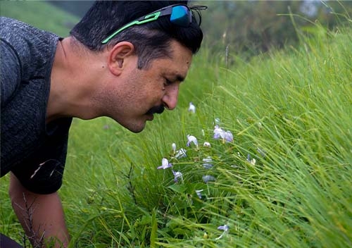 Mohare Danda Trek- 7 Days