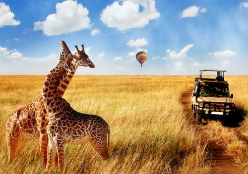 Short Wildlife Safari in Tanzania