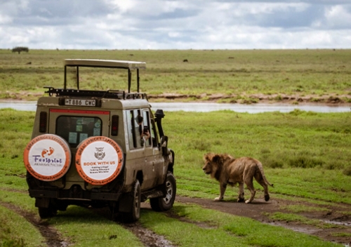 4 Day Wildlife Safari in Tanzania