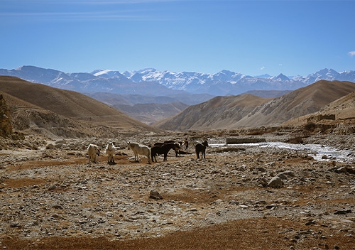 Upper Mustang Jeep Tour- 13 days